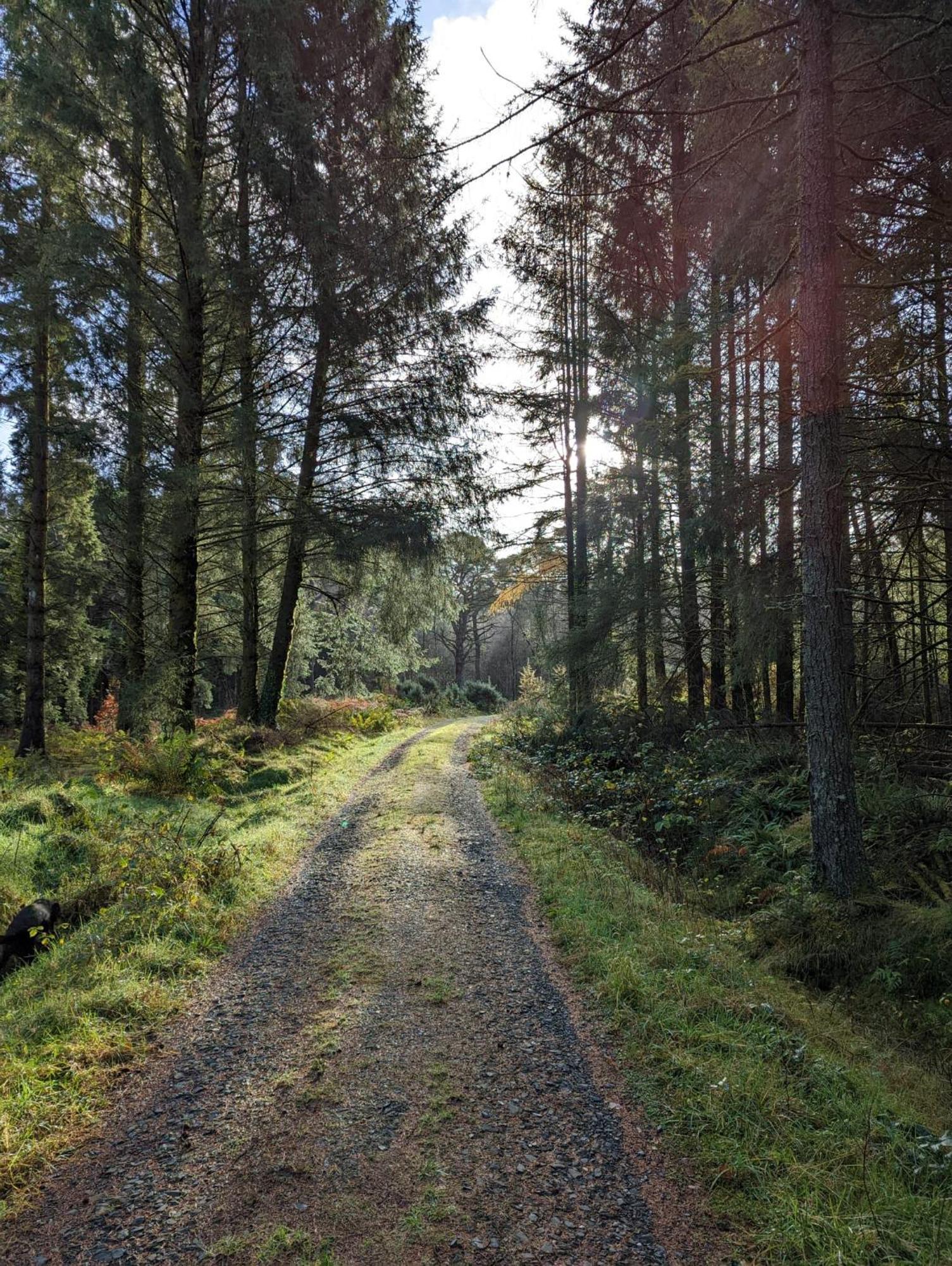 Nordlys Cottage Newton Stewart Buitenkant foto