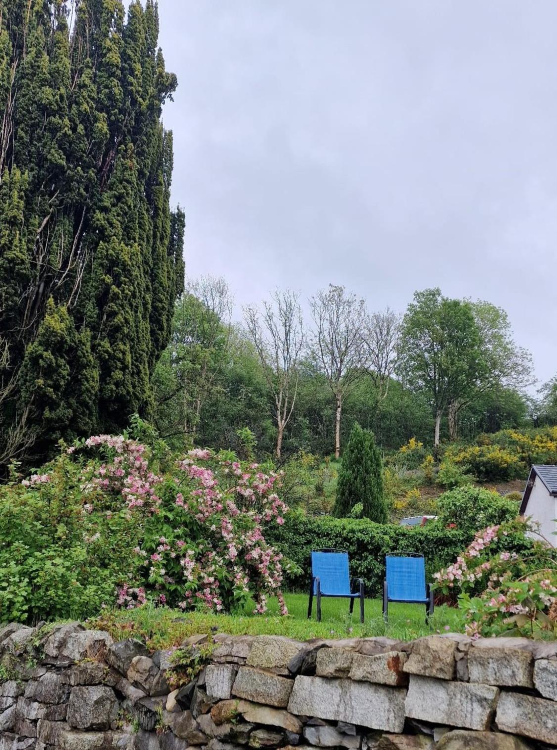 Nordlys Cottage Newton Stewart Buitenkant foto