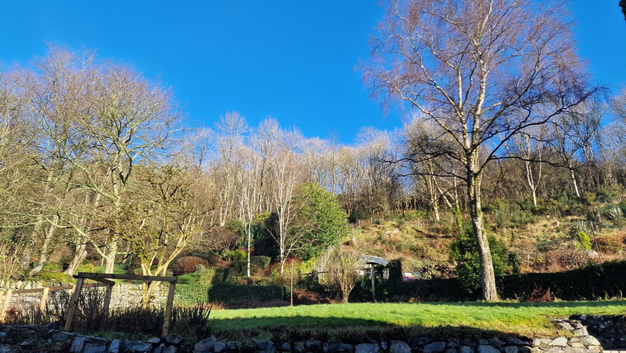 Nordlys Cottage Newton Stewart Buitenkant foto